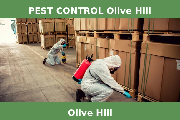PEST CONTROL Olive Hill